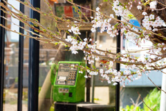 公衆電話 公衆電話