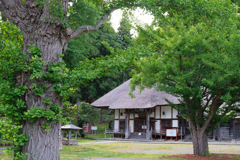 有珠善光寺