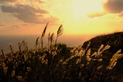 歌島高原の夕陽