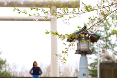 岩内神社にて 岩内神社にて