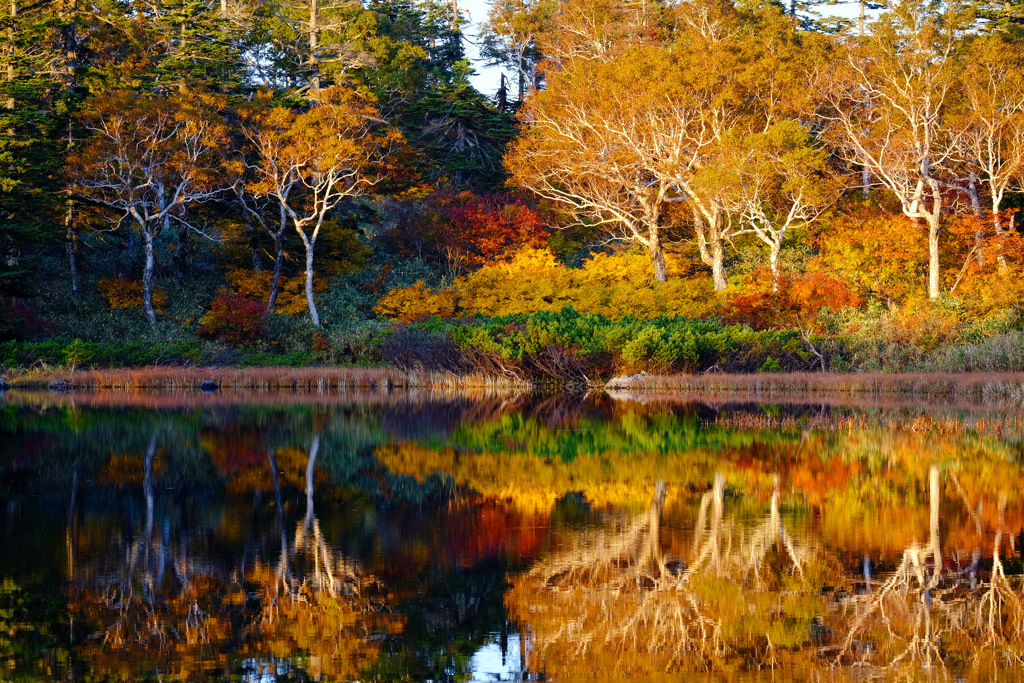 夕陽と紅葉