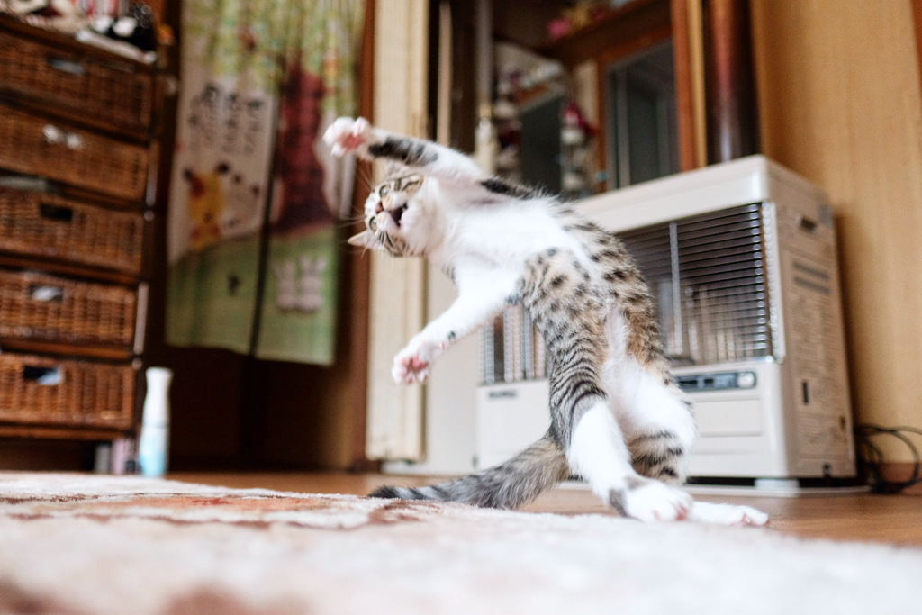 ダンサー