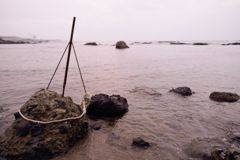 泊村