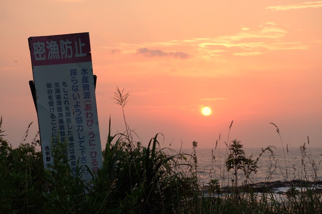 密魚防止