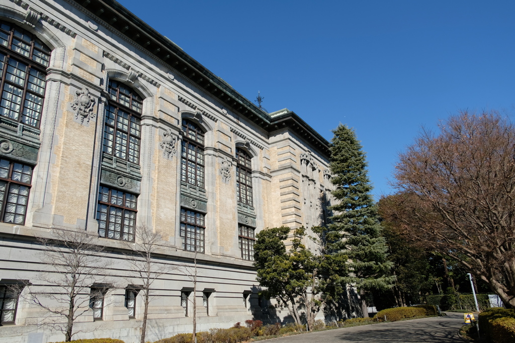 こども図書館