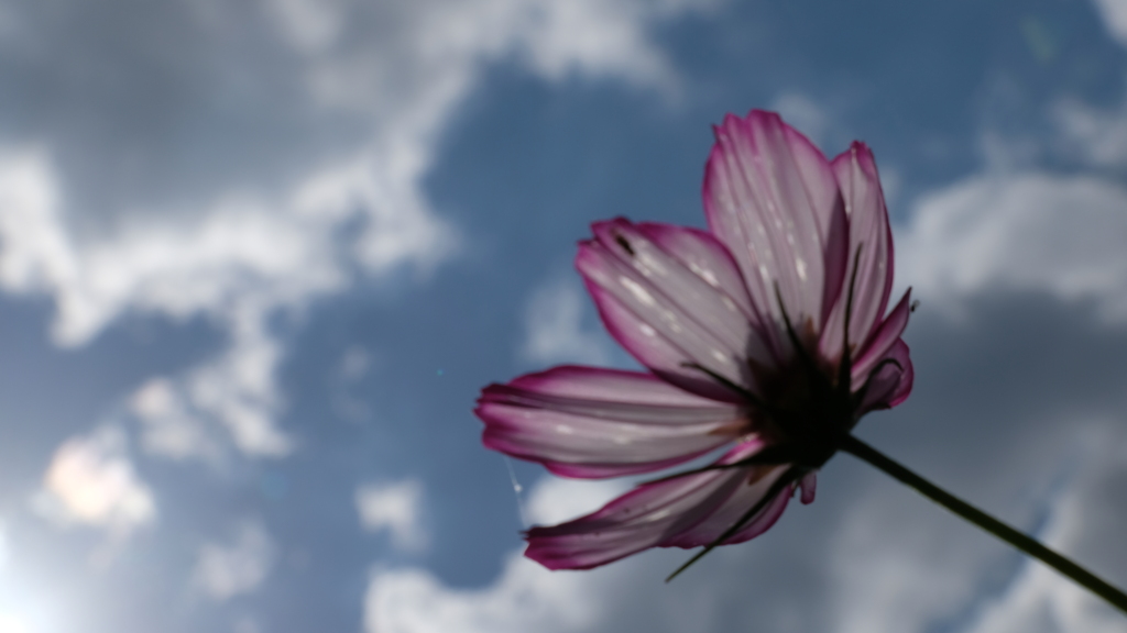 DSCF5676