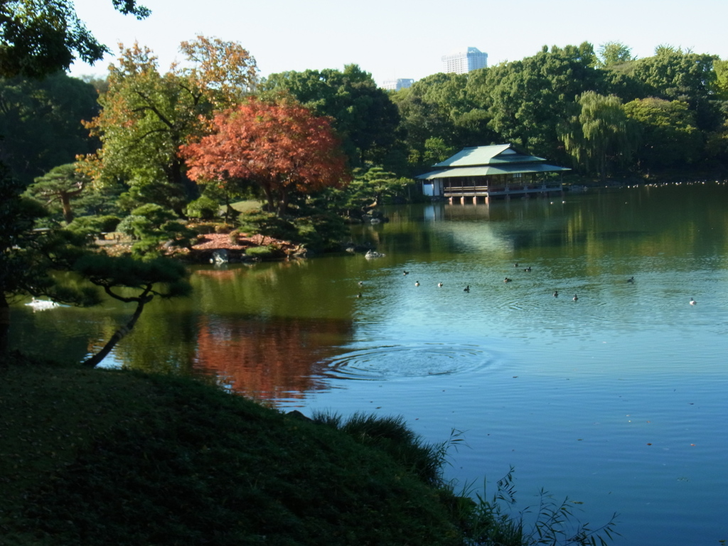 清澄庭園