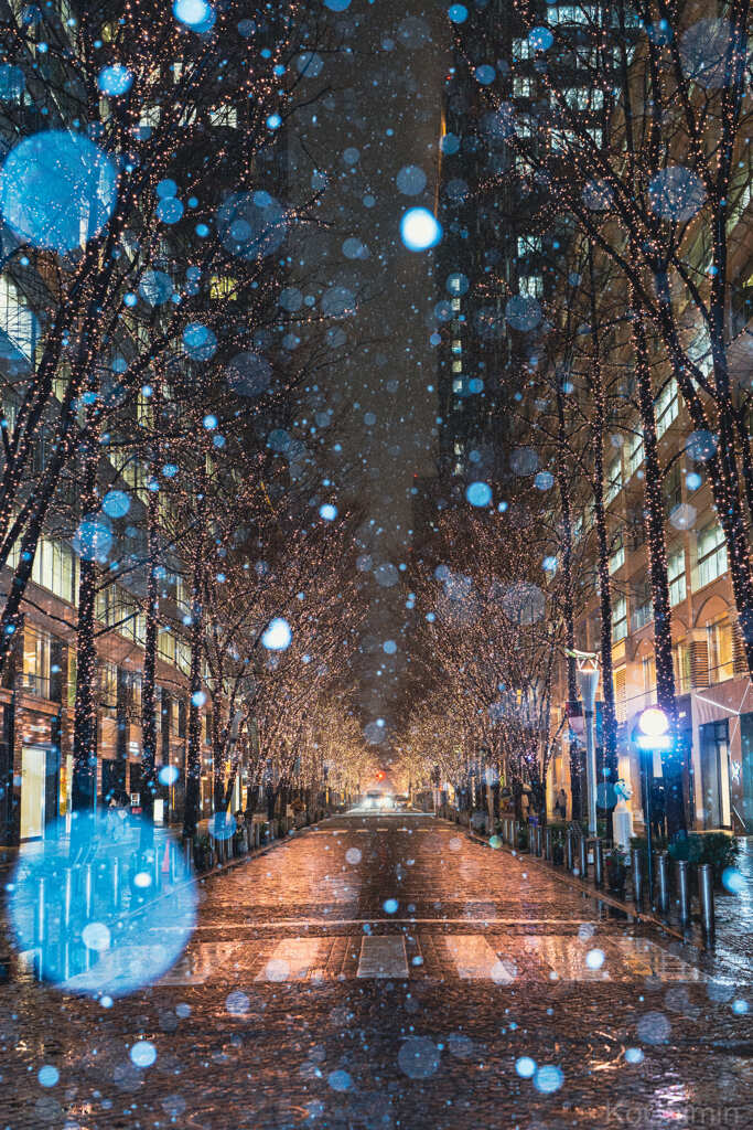 東京雪景色