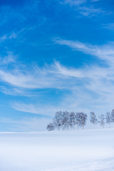 Snow Cloud