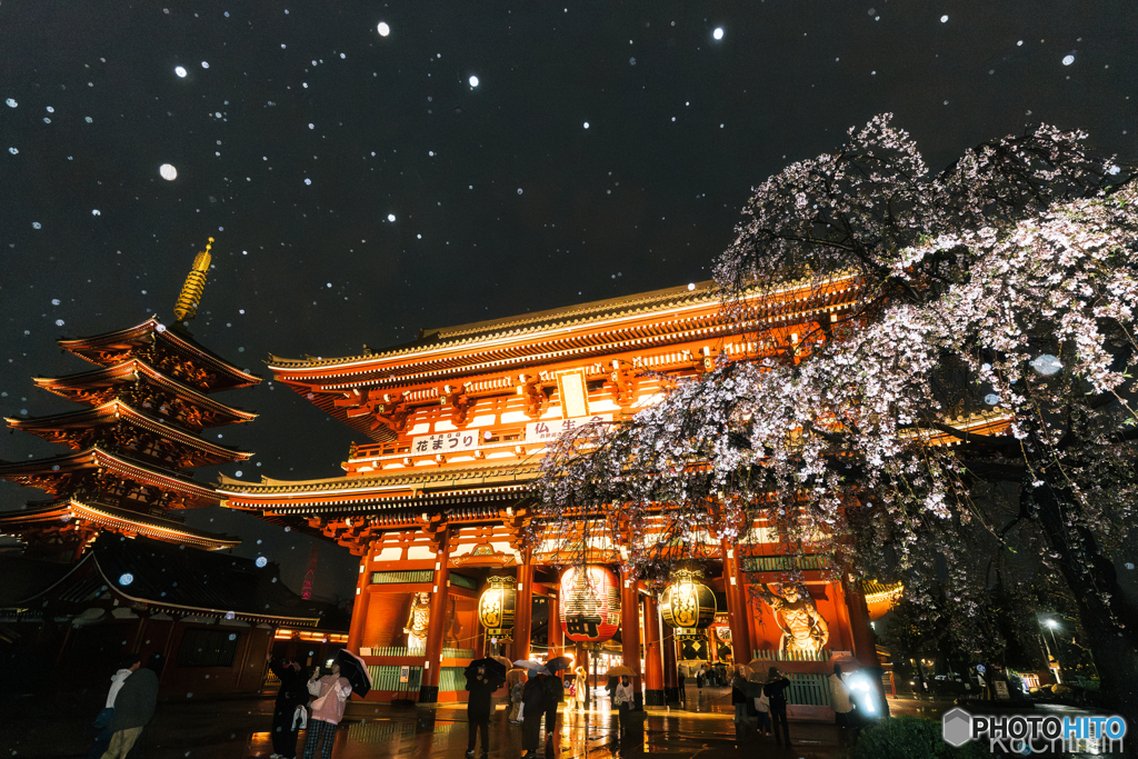 春雨