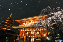 春雨