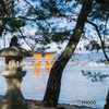 厳島神社大鳥居