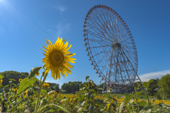 夏の光景