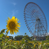 夏の光景