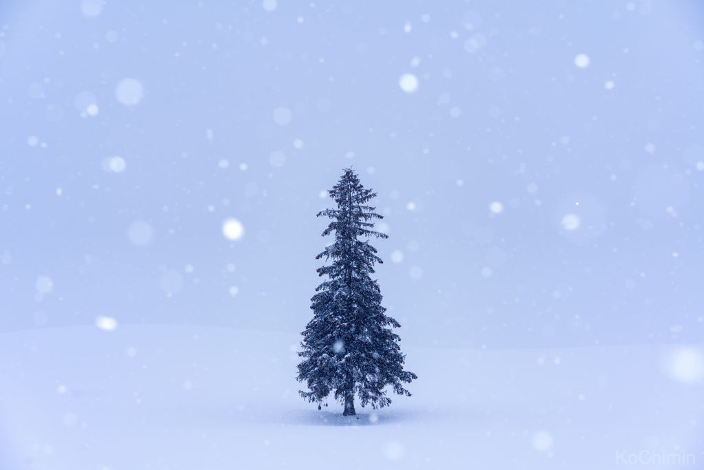 雪降る朝
