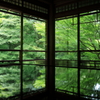 京都 瑠璃光院 青紅葉