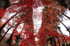 阿弥陀山清水寺