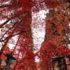 阿弥陀山清水寺