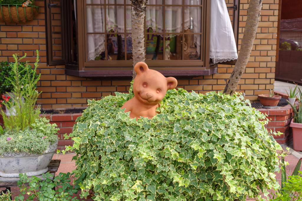 葉っぱの中のくまさん