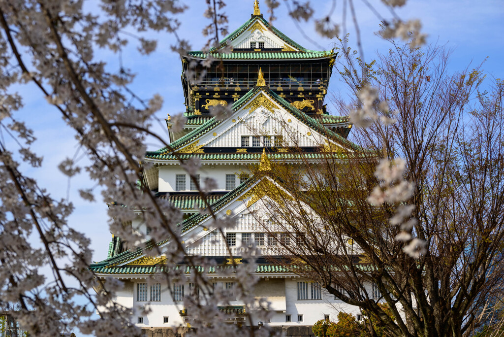 2021大阪城天守閣としだれ桜