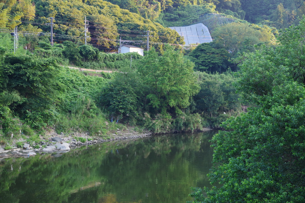 大和川の風景5