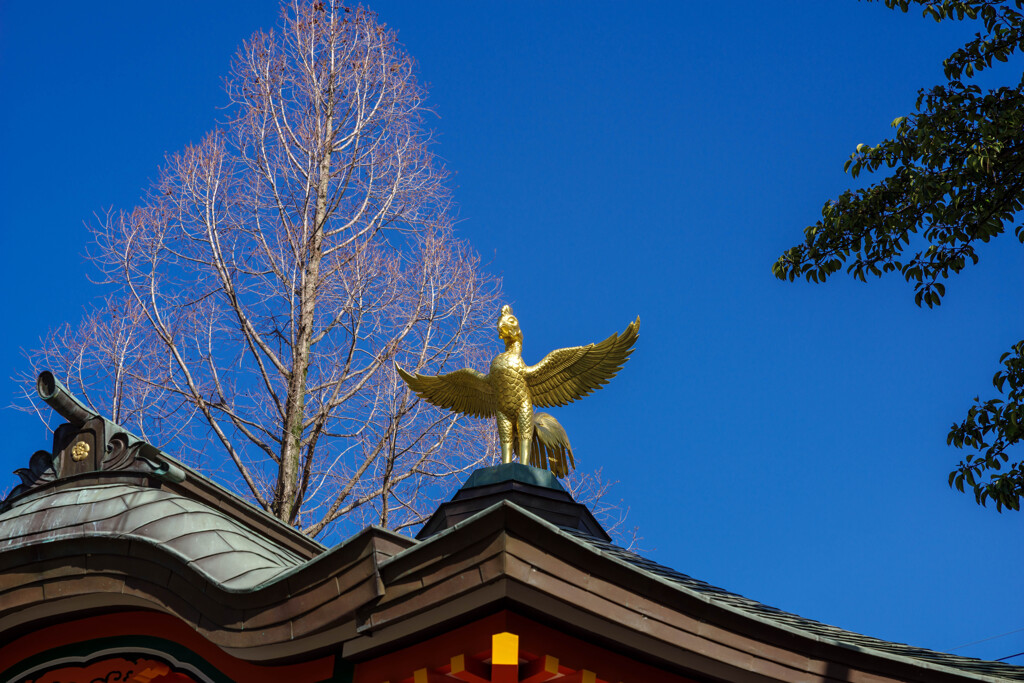 屋根の鳳凰