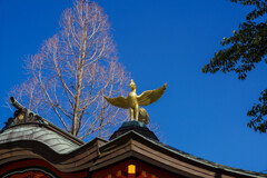 屋根の鳳凰