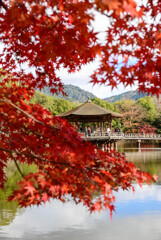 奈良公園浮見堂と紅葉2