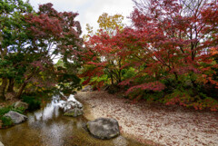 万博記念公園紅葉5