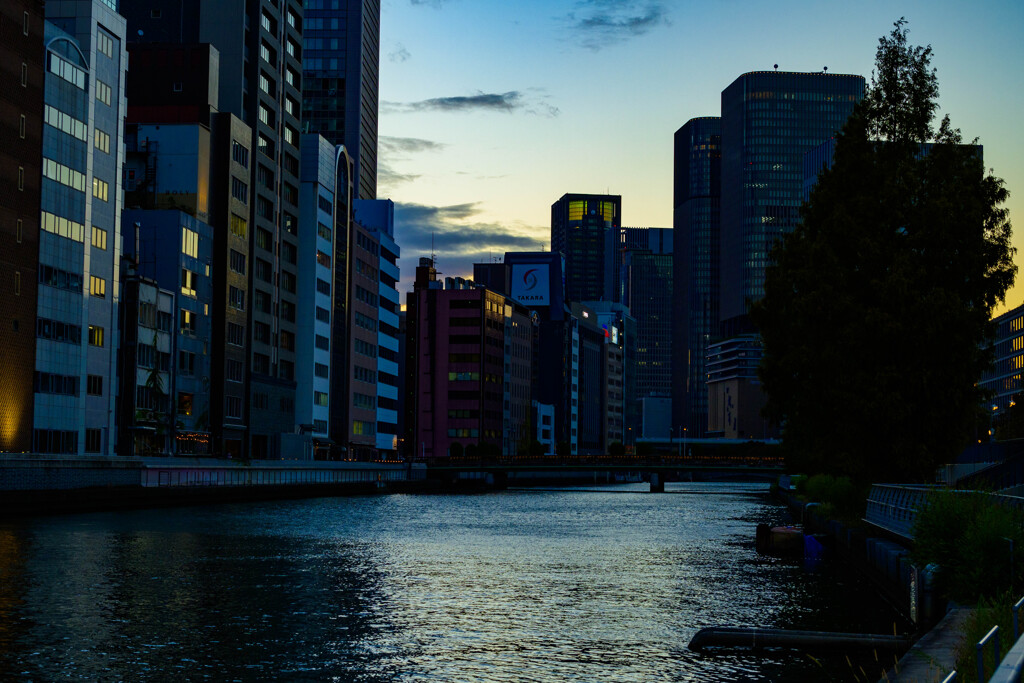 夕暮れの土佐堀川