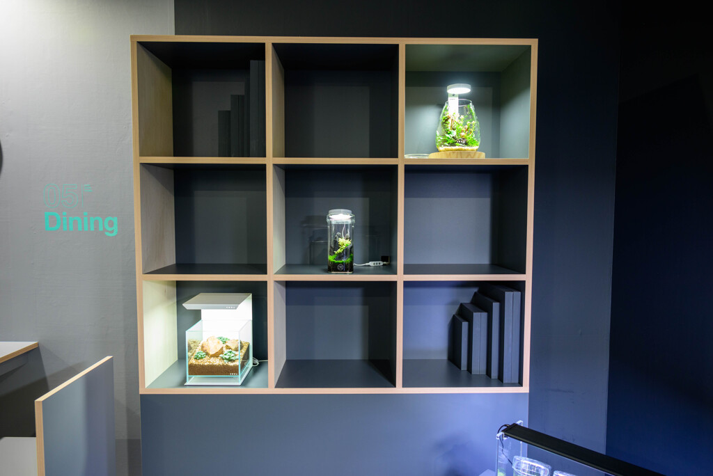 2022年ネイチャーアクアリウム展9