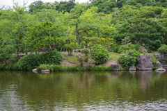 万博記念公園 日本庭園2