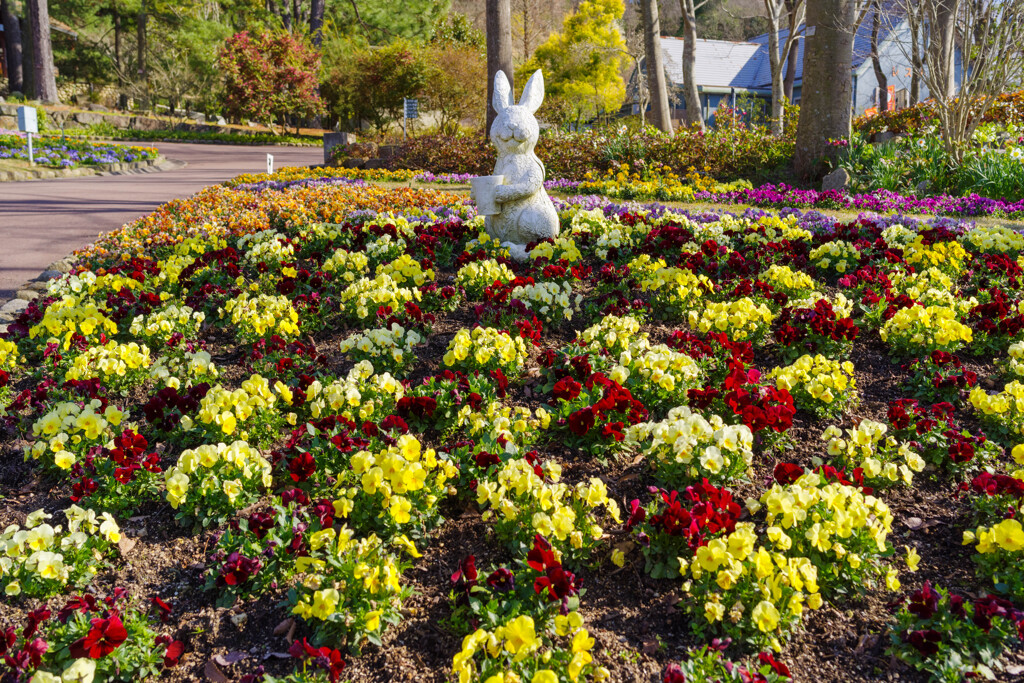 花壇の風景3