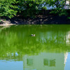 貯水池の風景