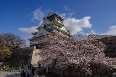 2020大阪城と桜1
