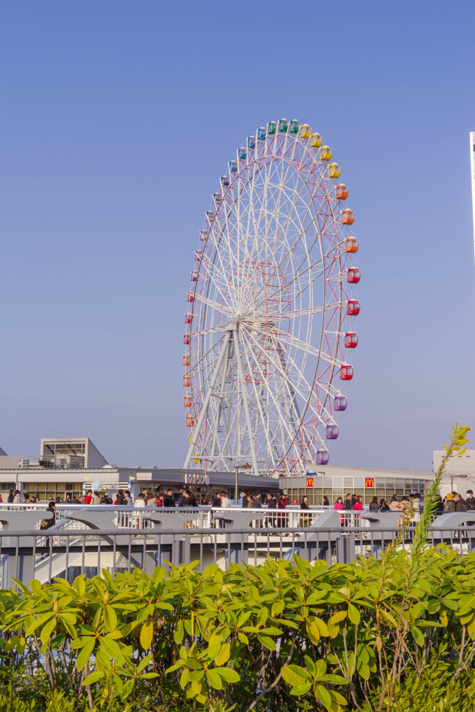 りんくうの観覧車2