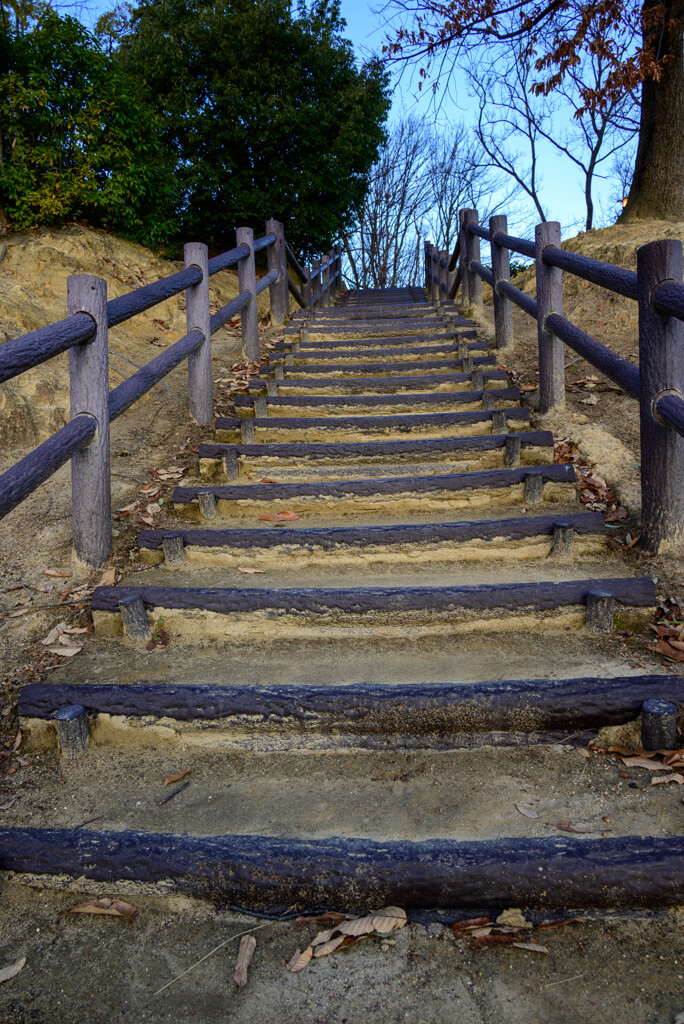 公園の階段2 by TakaM （ID：10086876） 写真共有サイトPHOTOHITO