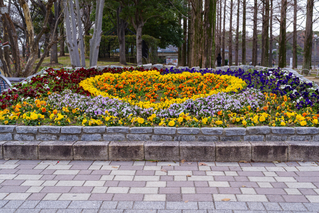 花壇の風景1