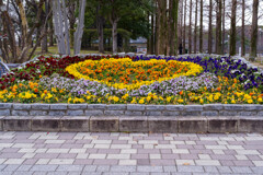 花壇の風景1