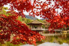 奈良公園浮見堂と紅葉1