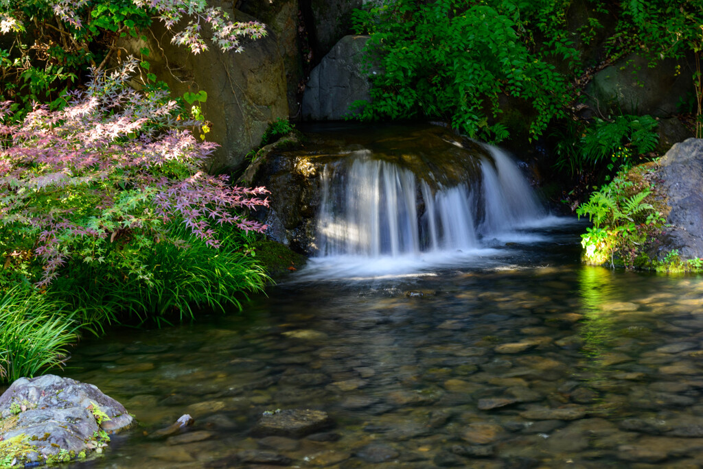 万博記念公園木漏れ日の滝3