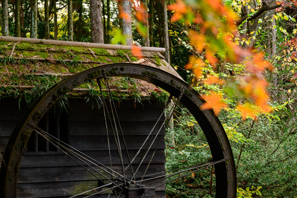 水車小屋の風景5