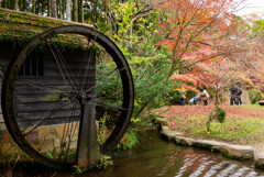 水車小屋の風景3