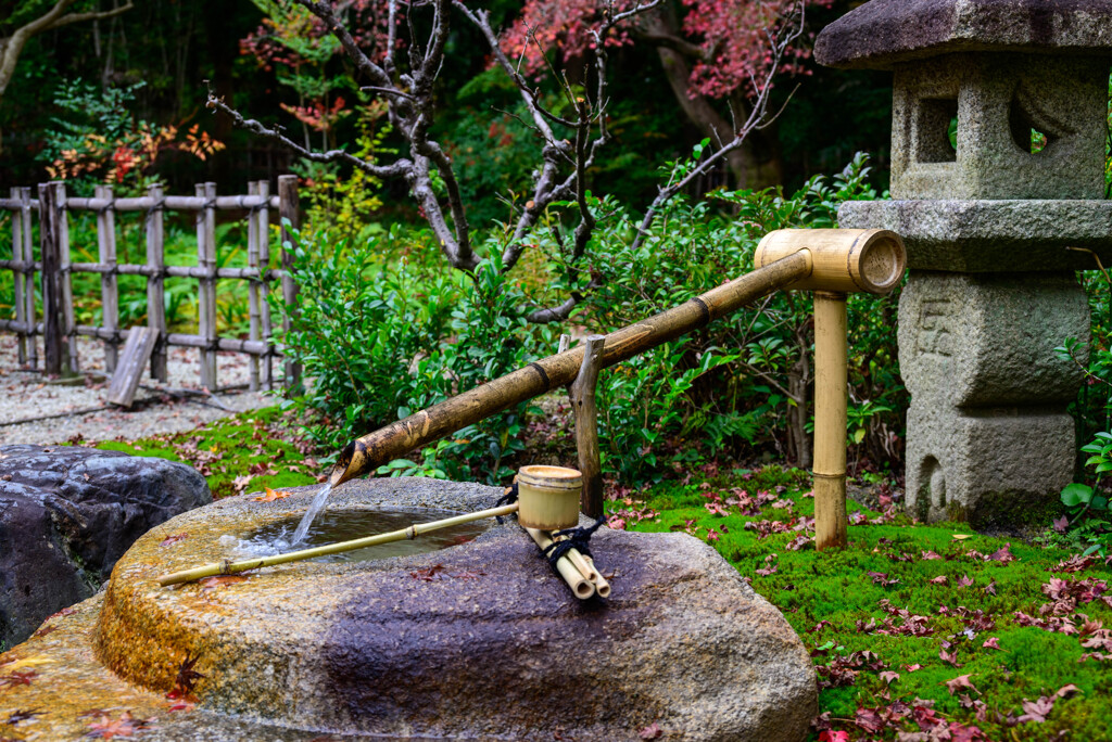 万博記念公園汎庵・万里庵水琴窟1