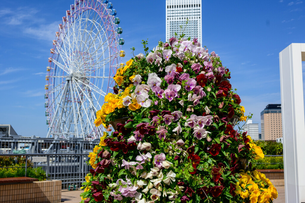 りんくうアウトレット　花飾りと観覧車