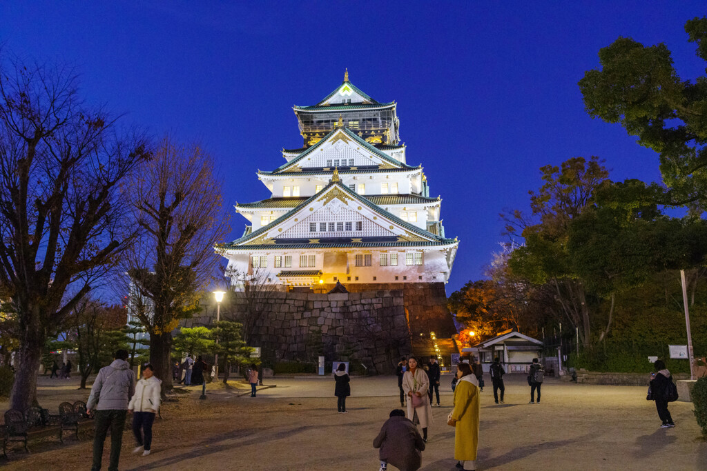 Night Osaka Castle 1