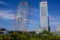 りんくうタウン大観覧車4