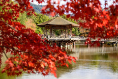 奈良公園浮見堂と紅葉3