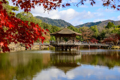 奈良公園浮見堂と紅葉4