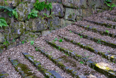 大阪城石階段に積もる落ち葉
